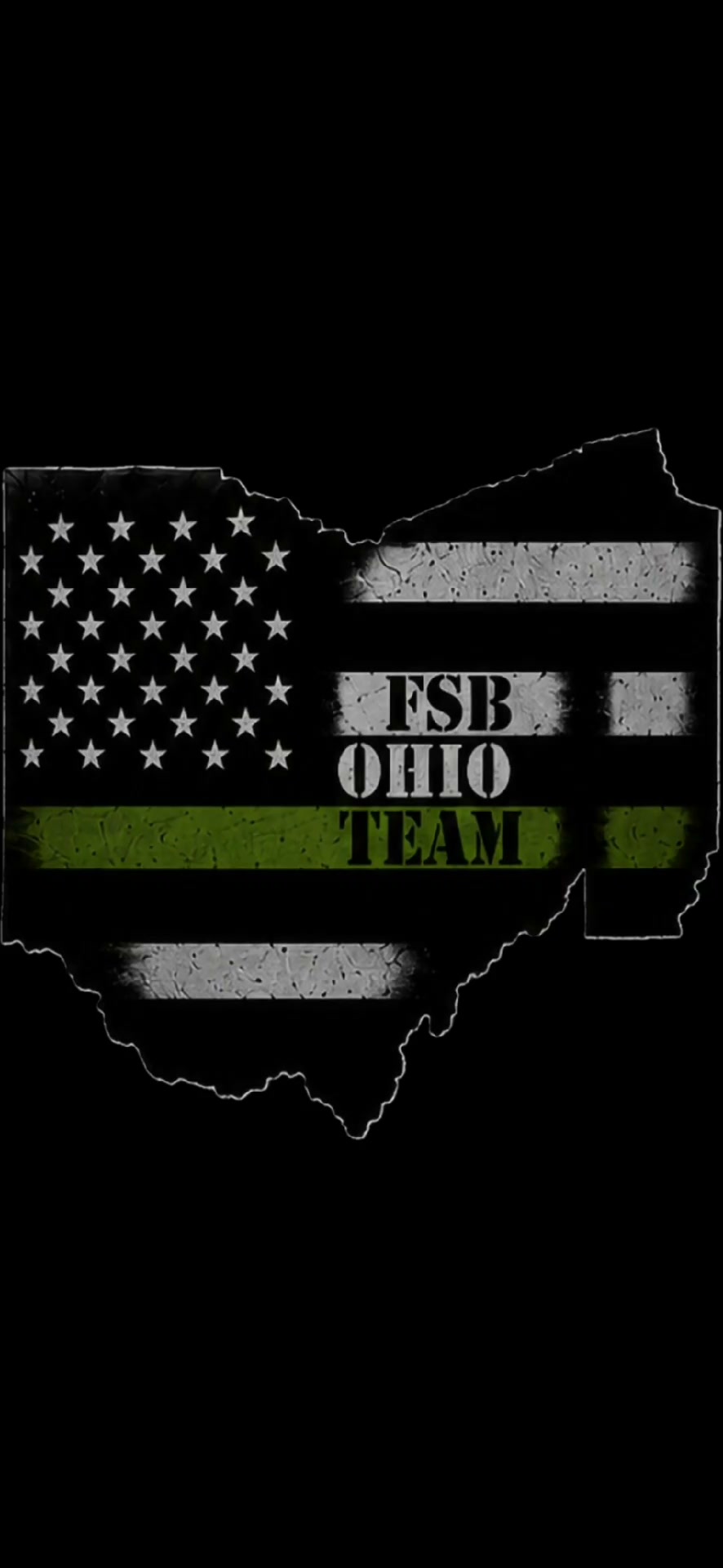 FSB Initiative Ohio Team